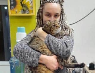 «Дом для одиноких кошек»: калининградка спасает тяжелобольных животных